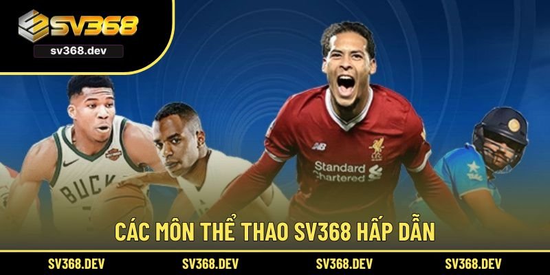 Các bộ môn thể thao SV368 hấp dẫn