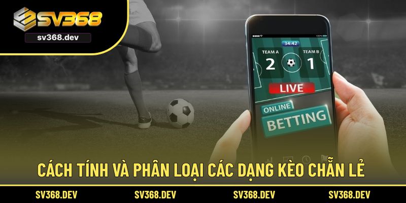 Cách tính và phân loại các dạng kèo chẵn lẻ