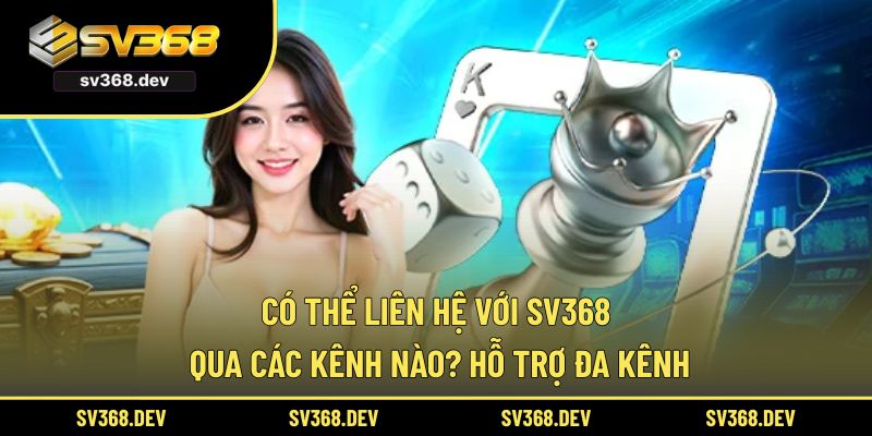 có thể liên hệ với SV368 qua các kênh nào