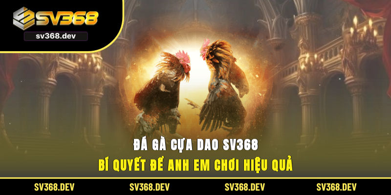 đá gà cựa dao sv368