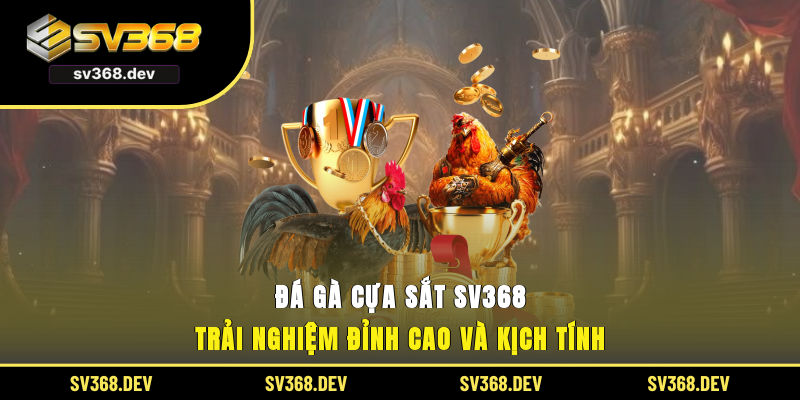 đá gà cựa sắt sv368