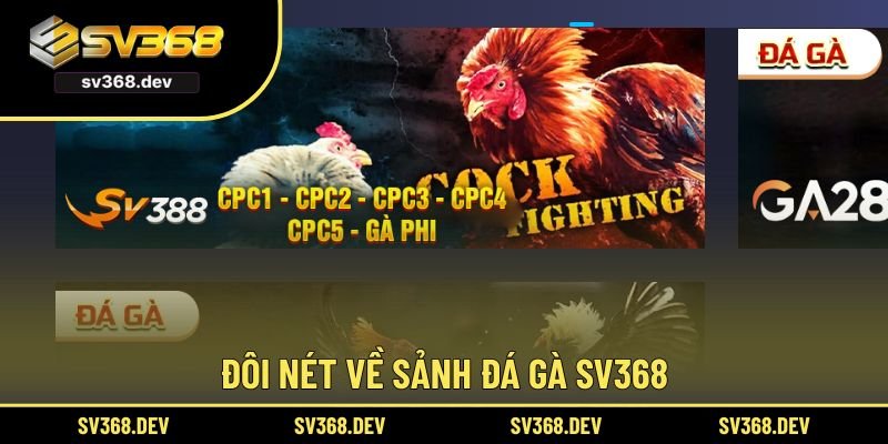 Đôi nét về sảnh đá gà SV368