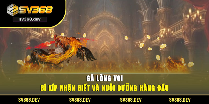 gà lông voi