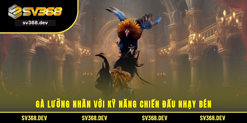 Gà lưỡng nhãn với kỹ năng chiến đấu nhạy bén