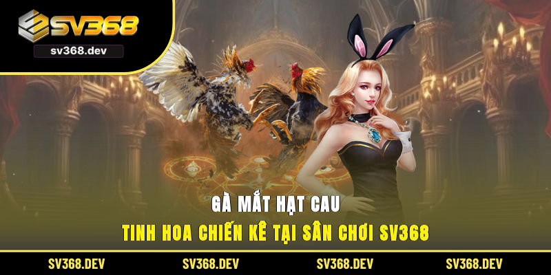 gà mắt hạt cau
