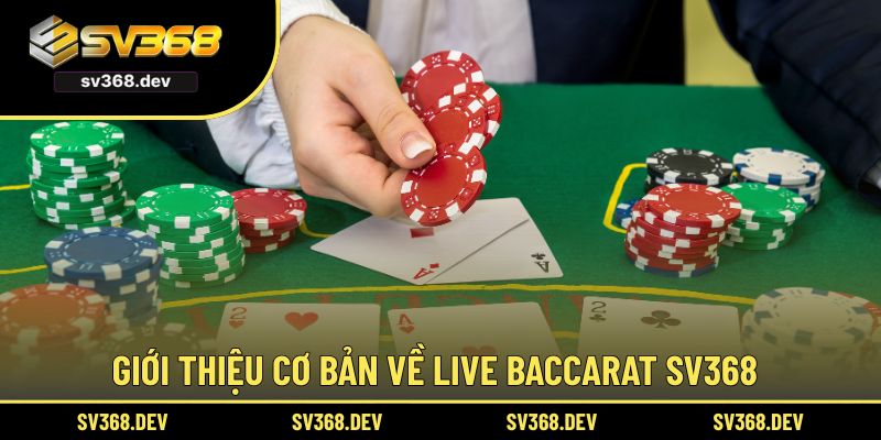 Giới thiệu cơ bản về Live Baccarat SV368