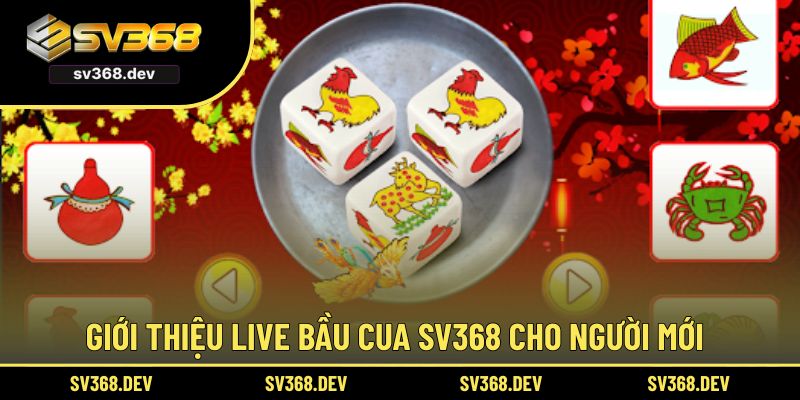 Giới thiệu Live bầu cua SV368 cho người mới
