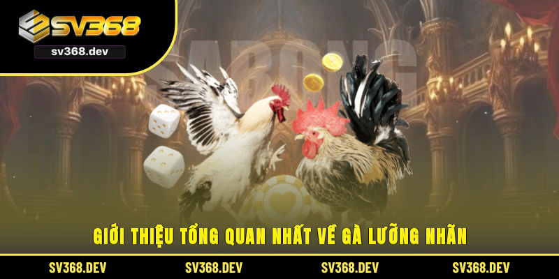 Giới thiệu tổng quan nhất về gà lưỡng nhãn