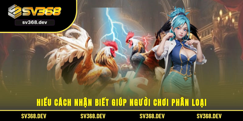 Hiểu cách nhận biết giúp người chơi phân loại