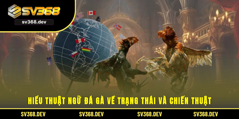 Hiểu thuật ngữ đá gà về trạng thái và chiến thuật