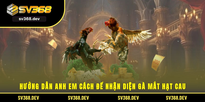 Hướng dẫn anh em cách để nhận diện gà mắt hạt cau