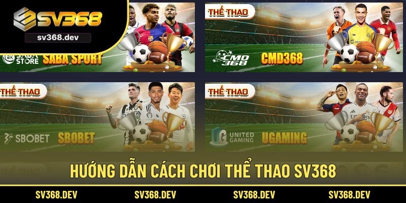 Hướng dẫn chi tiết cách chơi thể thao SV368