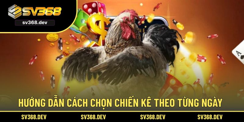 Hướng dẫn cách chọn chiến kê theo từng ngày