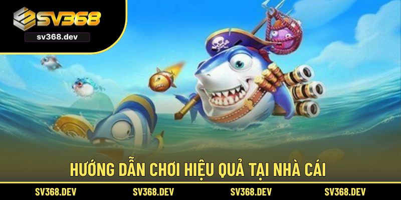 Hướng dẫn chơi hiệu quả tại nhà cái
