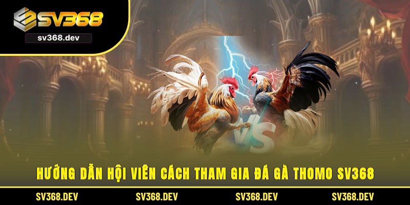 Hướng dẫn hội viên cách tham gia đá gà thomo SV368