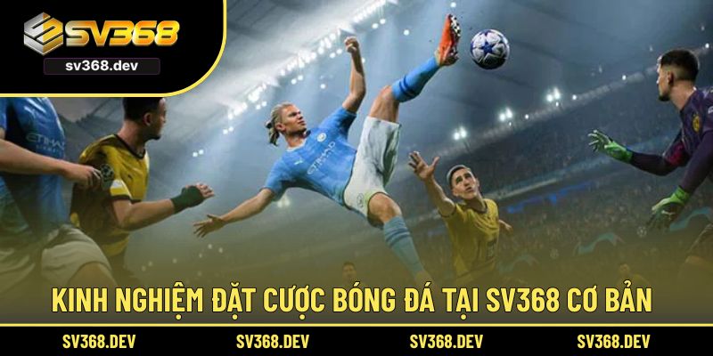 Kinh nghiệm đặt cược bóng đá tại SV368 cơ bản