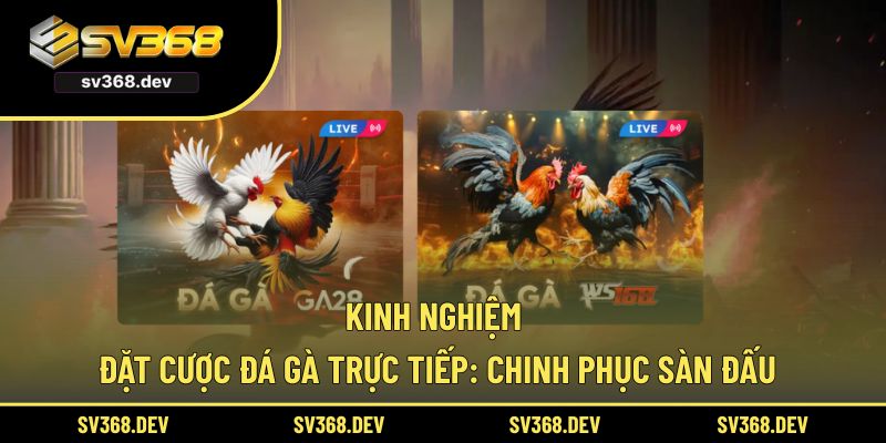kinh nghiệm đặt cược đá gà trực tiếp
