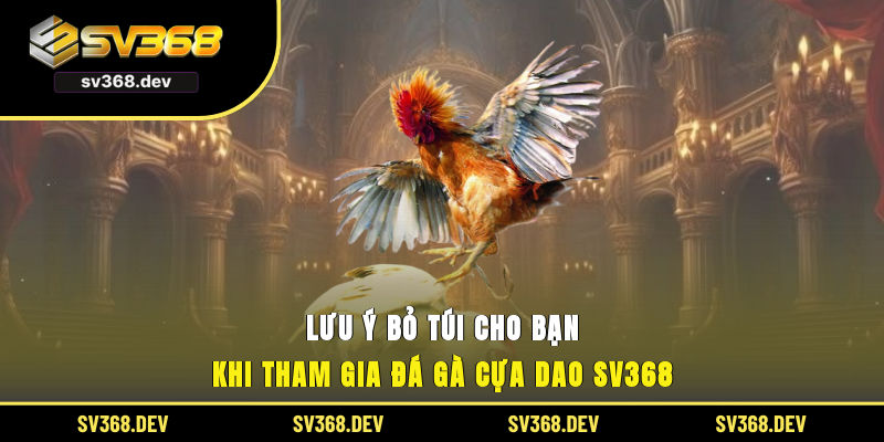 Lưu ý bỏ túi cho bạn khi tham gia đá gà cựa dao SV368