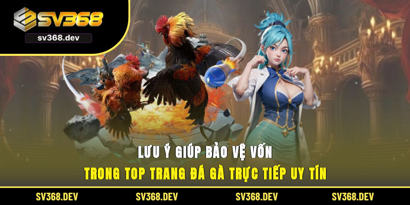 Lưu ý giúp bảo vệ vốn trong top trang đá gà trực tiếp uy tín