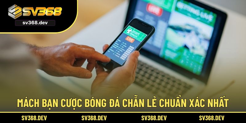 Mách bạn cược bóng đá chẵn lẻ chuẩn xác nhất