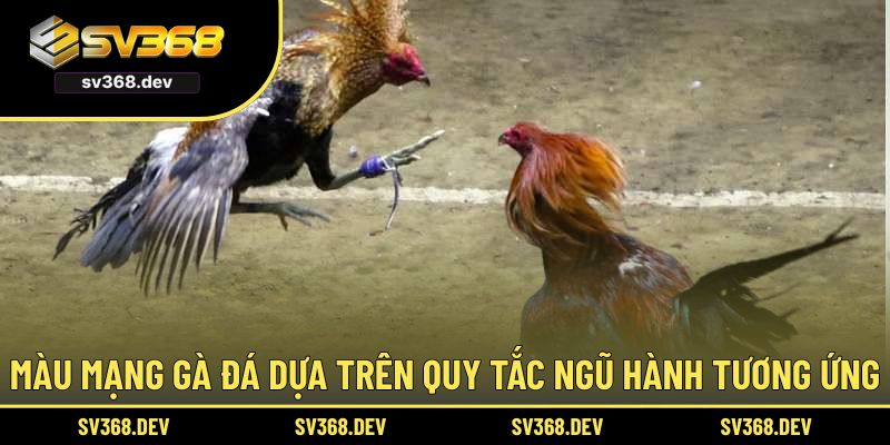 Màu mạng gà đá dựa trên quy tắc Ngũ Hành tương ứng