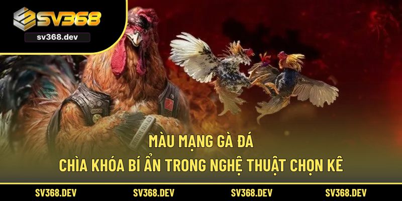 màu mạng gà đá