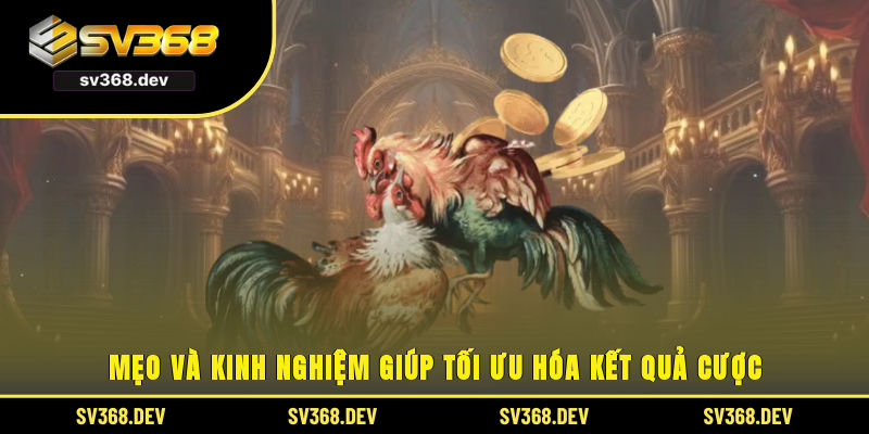 Mẹo và kinh nghiệm giúp tối ưu hóa kết quả cược
