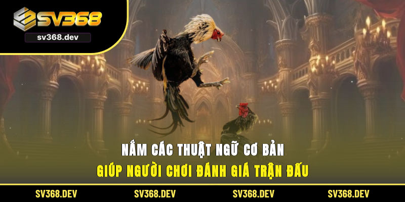 Nắm các thuật ngữ cơ bản giúp người chơi đánh giá trận đấu