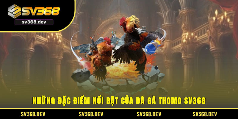 Những đặc điểm nổi bật của đá gà thomo SV368