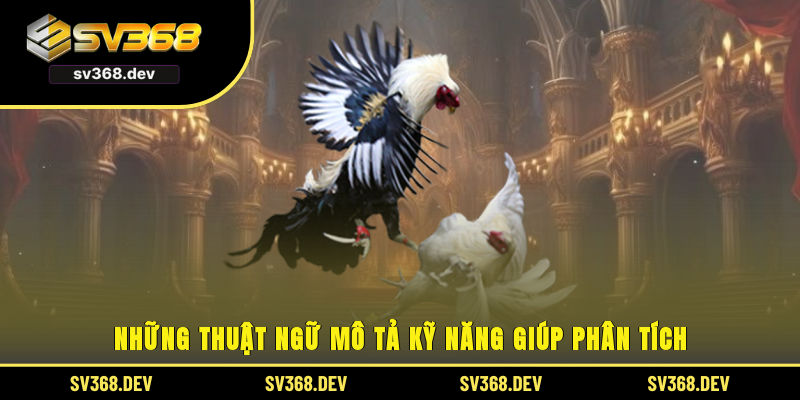 Những thuật ngữ mô tả kỹ năng giúp phân tích