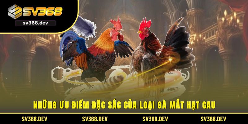 Những ưu điểm đặc sắc của loại gà mắt hạt cau