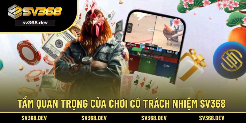Tầm quan trọng của chơi có trách nhiệm SV368