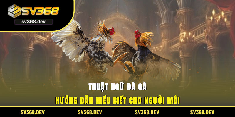thuật ngữ đá gà