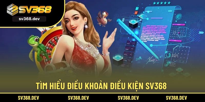 Tìm hiểu chung về điều khoản điều kiện SV368
