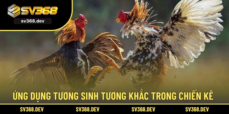 Ứng dụng tương sinh tương khắc trong chiến kê