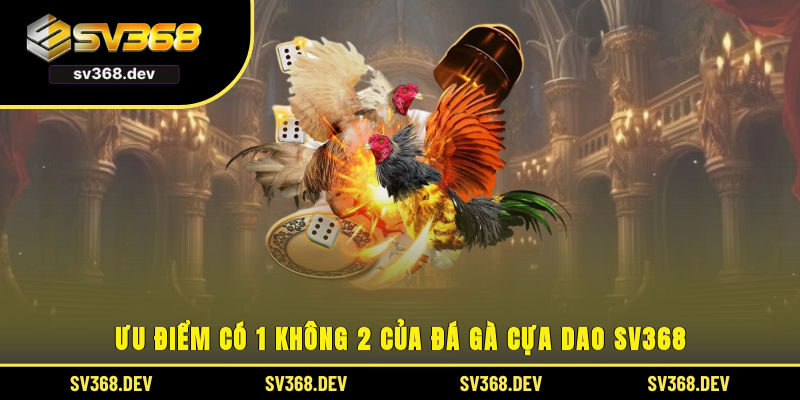 Ưu điểm có 1 không 2 của đá gà cựa dao SV368