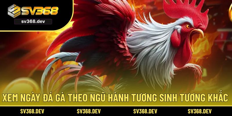 Xem ngày đá gà theo ngũ hành tương sinh tương khắc