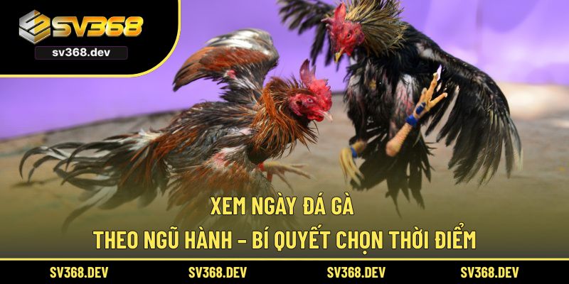 xem ngày đá gà theo ngũ hành